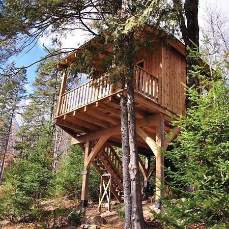 Les Cabanes Du Trappeur Wentworth-Nord Exteriér fotografie