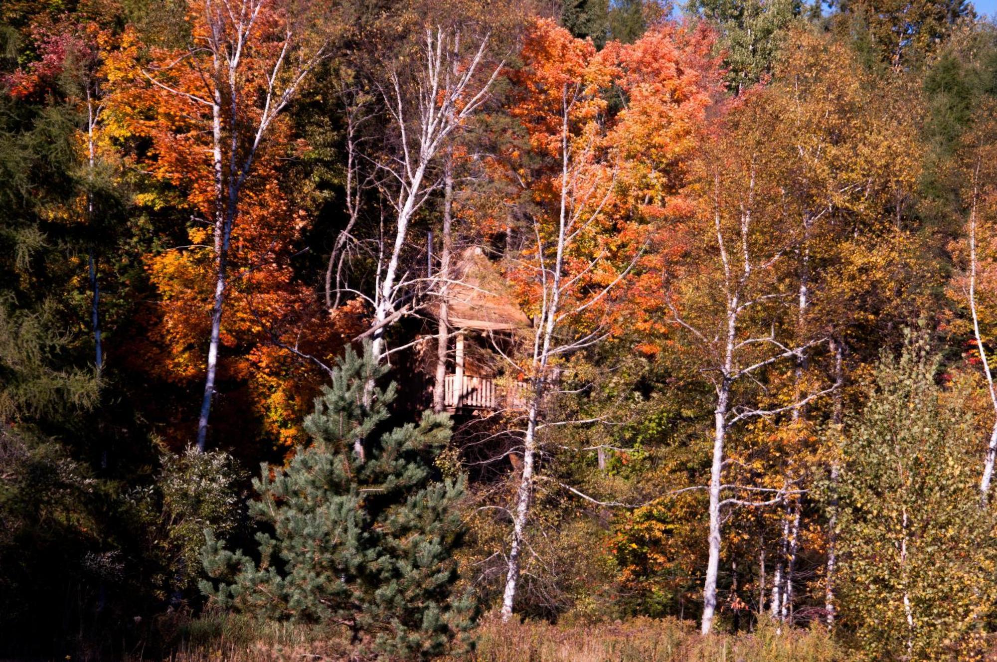 Les Cabanes Du Trappeur Wentworth-Nord Exteriér fotografie