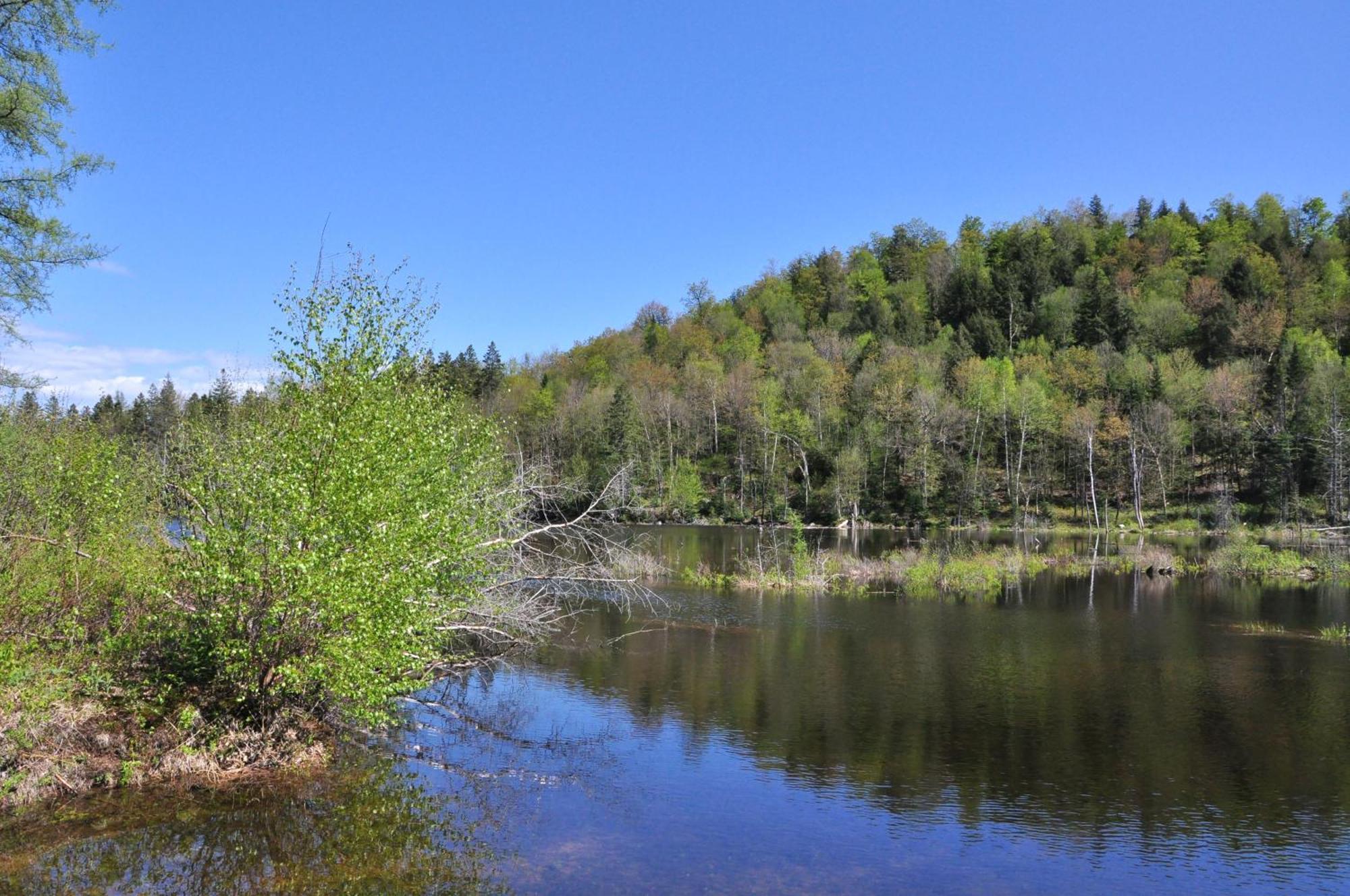 Les Cabanes Du Trappeur Wentworth-Nord Exteriér fotografie